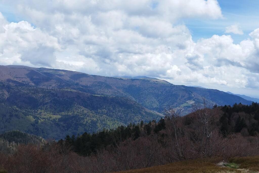 ונטרון Maison De Montagne Vue Magnifique מראה חיצוני תמונה